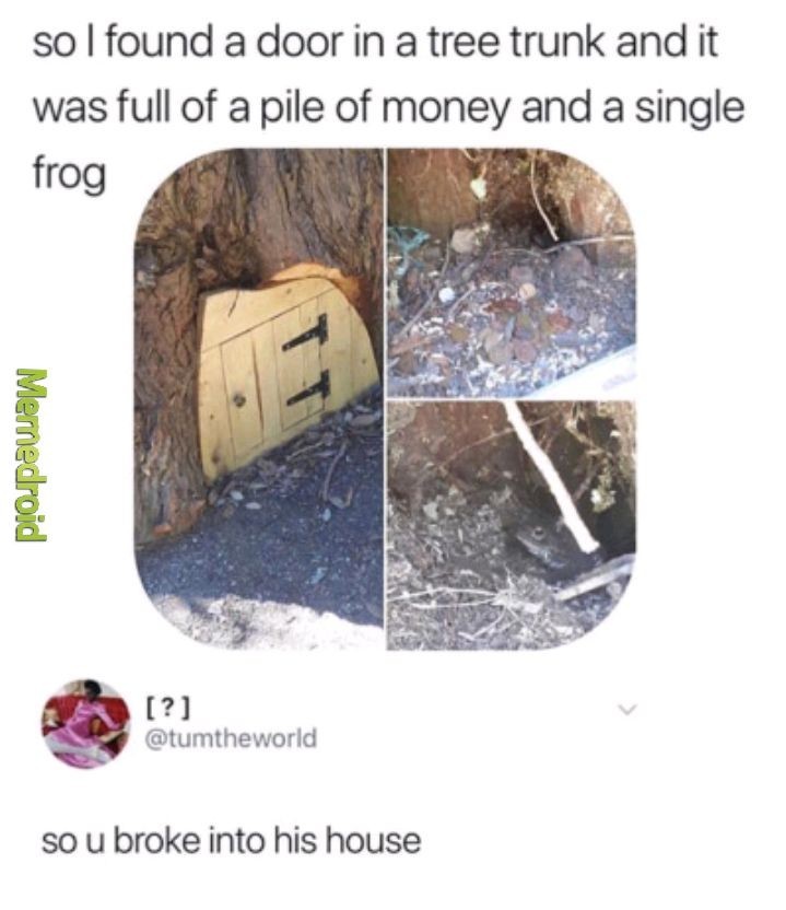 Frog house - meme