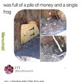 Frog house