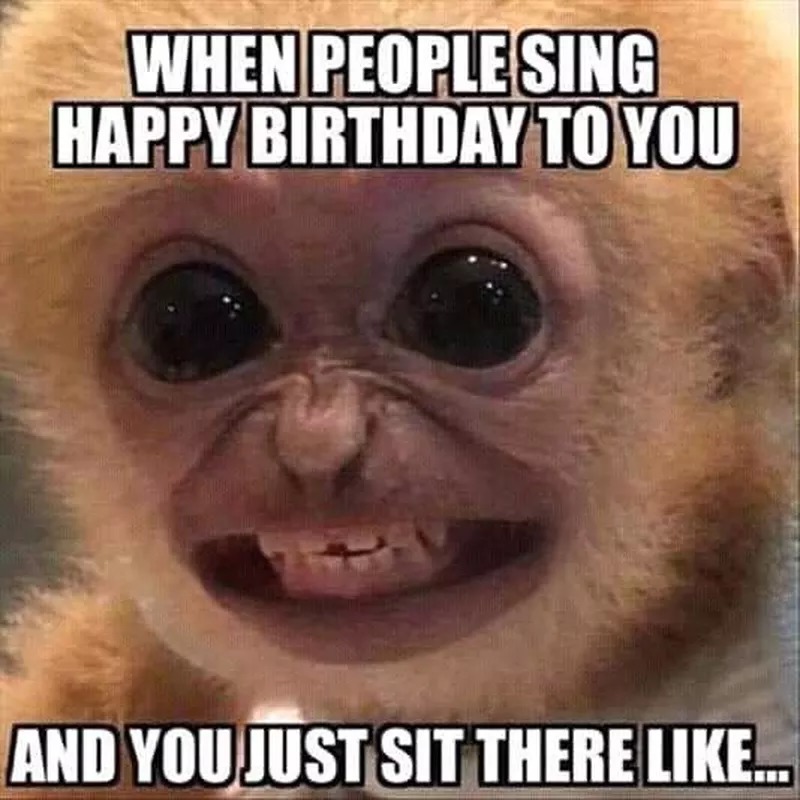 When people sing happy birthday to you - meme