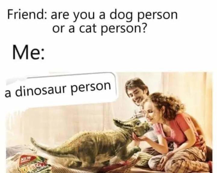 Dog person or a cat person? - meme