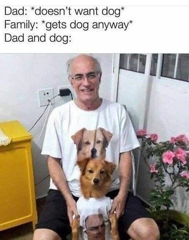 Doggo and i - meme