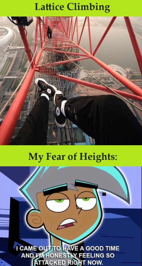 My fear of heights don't like this. - meme
