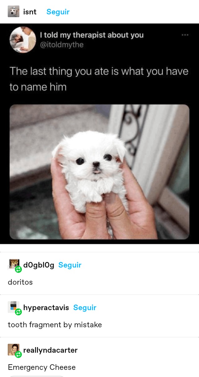 The last thing you ate is what you have to name him - meme