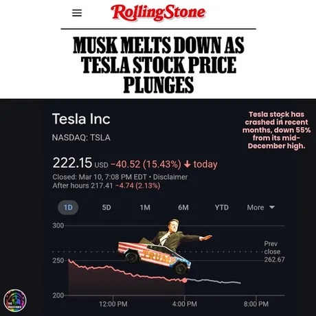 Tesla stock price plunges meme news