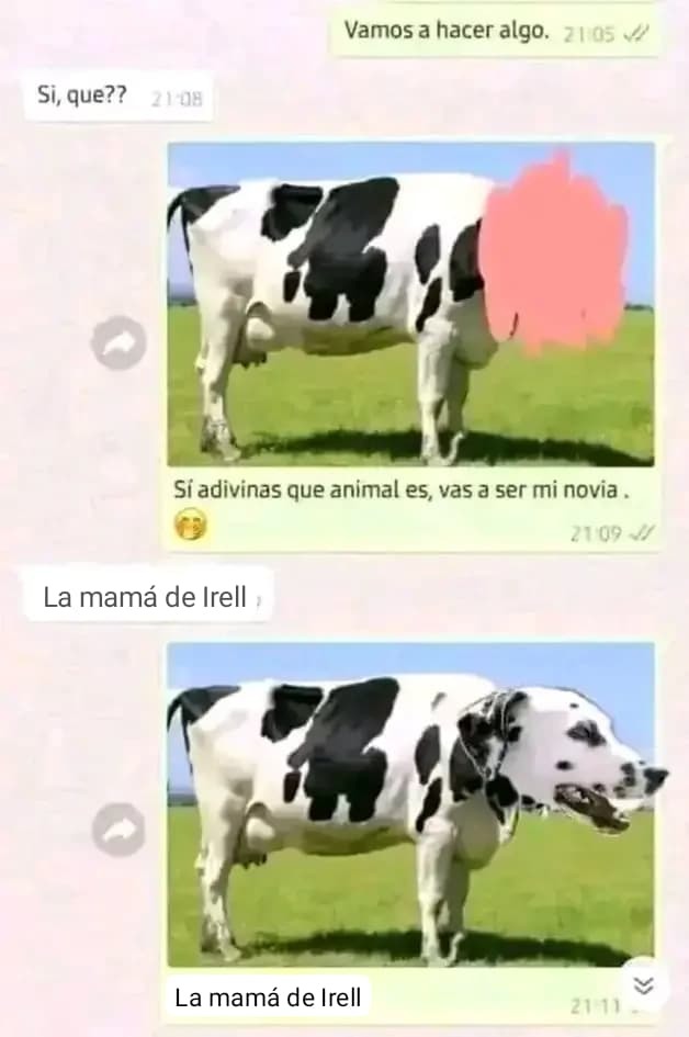 Mamá de irell - meme
