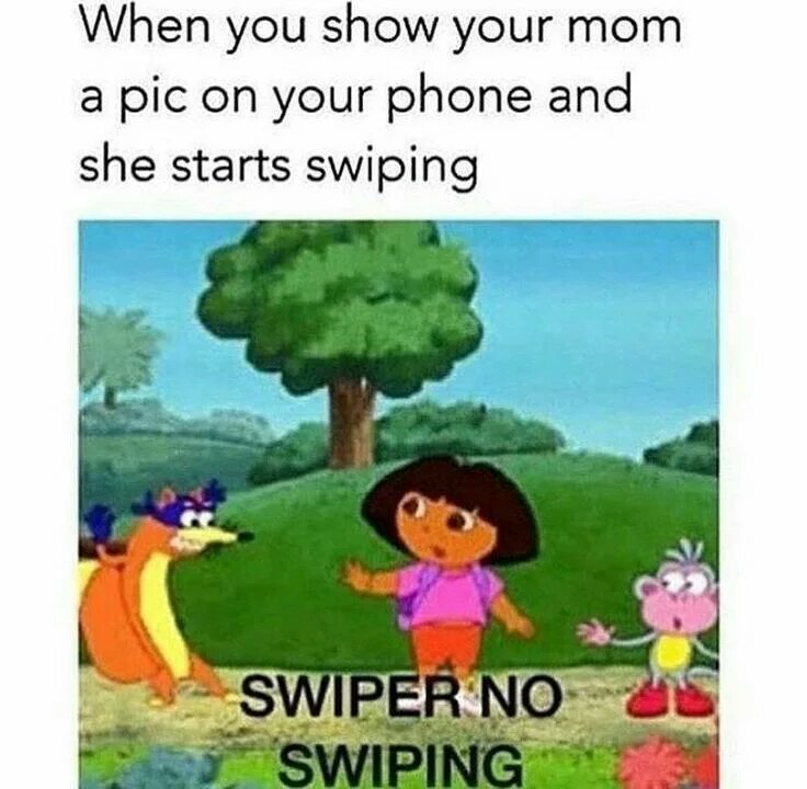You gonna swip boi swiper no swiping - meme