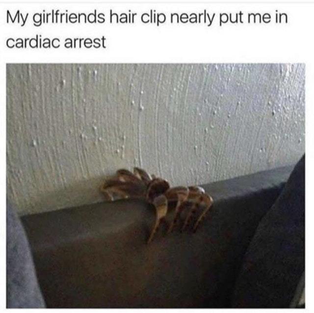 Spider hair clip - meme