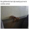 Spider hair clip