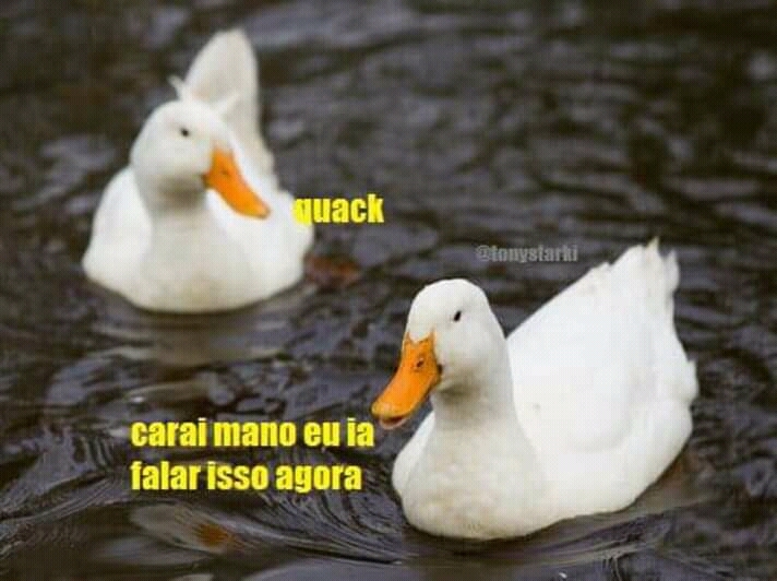 Quack - meme