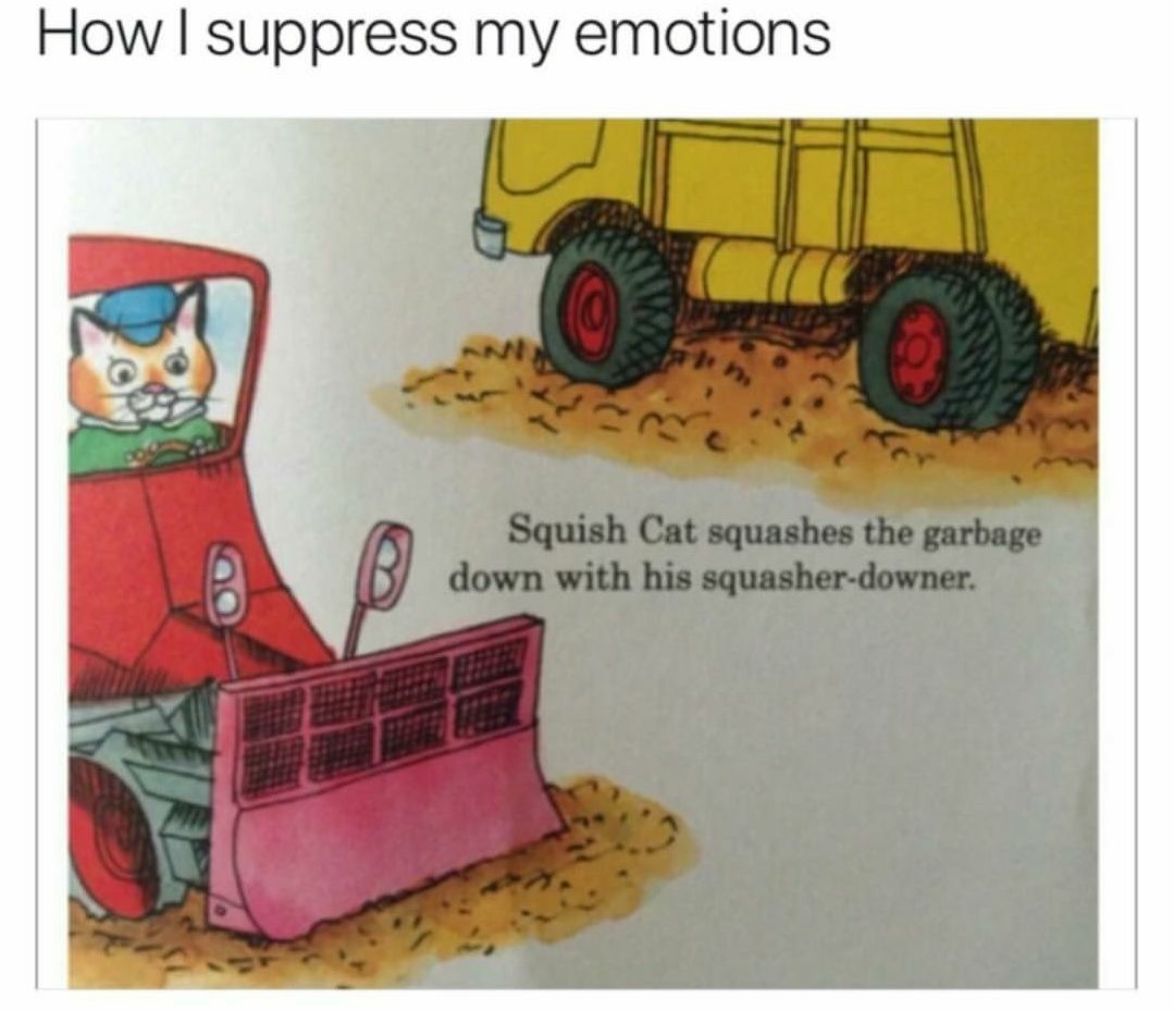 Squish that cat - meme