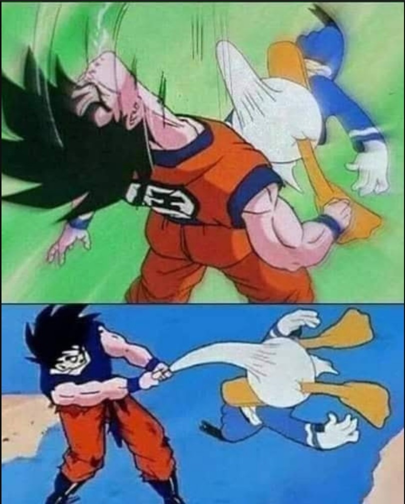 Goku vs Big Dick Duck - meme