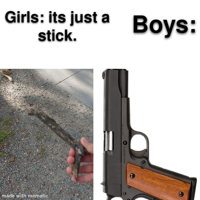 It's just a stick - meme