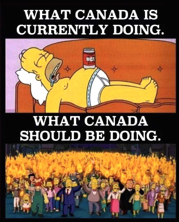 What Canada is doing, and what it should be doing - meme