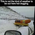 Get your wiener out of the snow