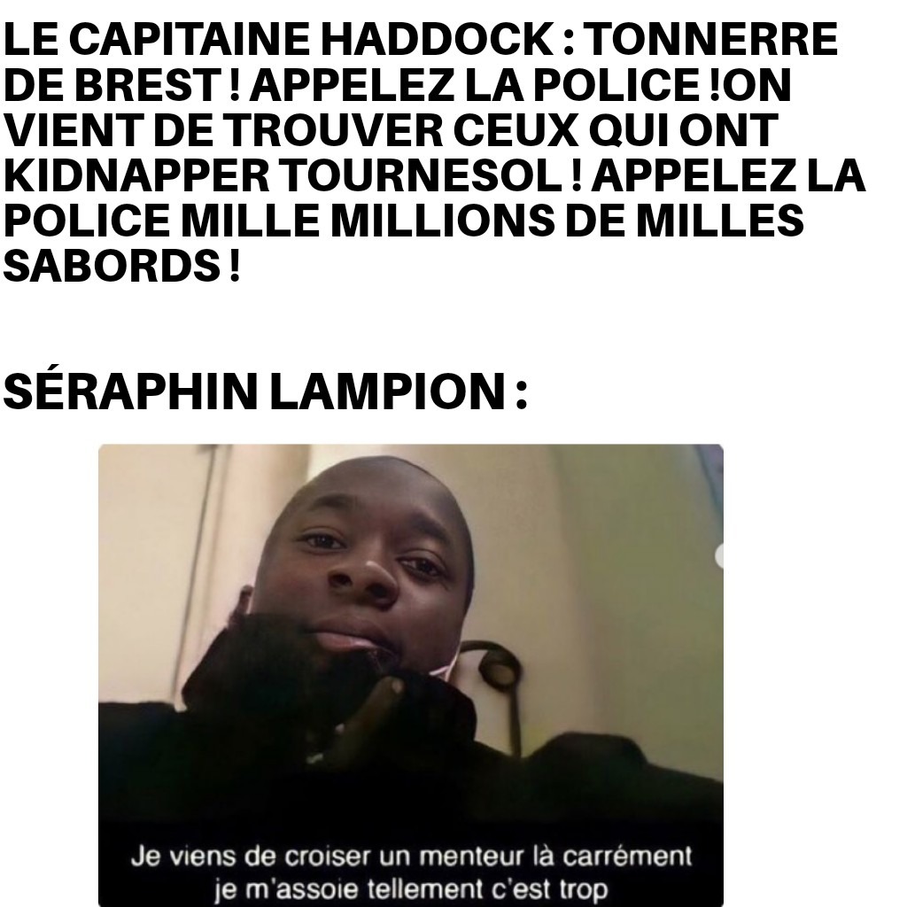 L'affaire tournesol <3 - meme