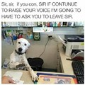 Sir sir