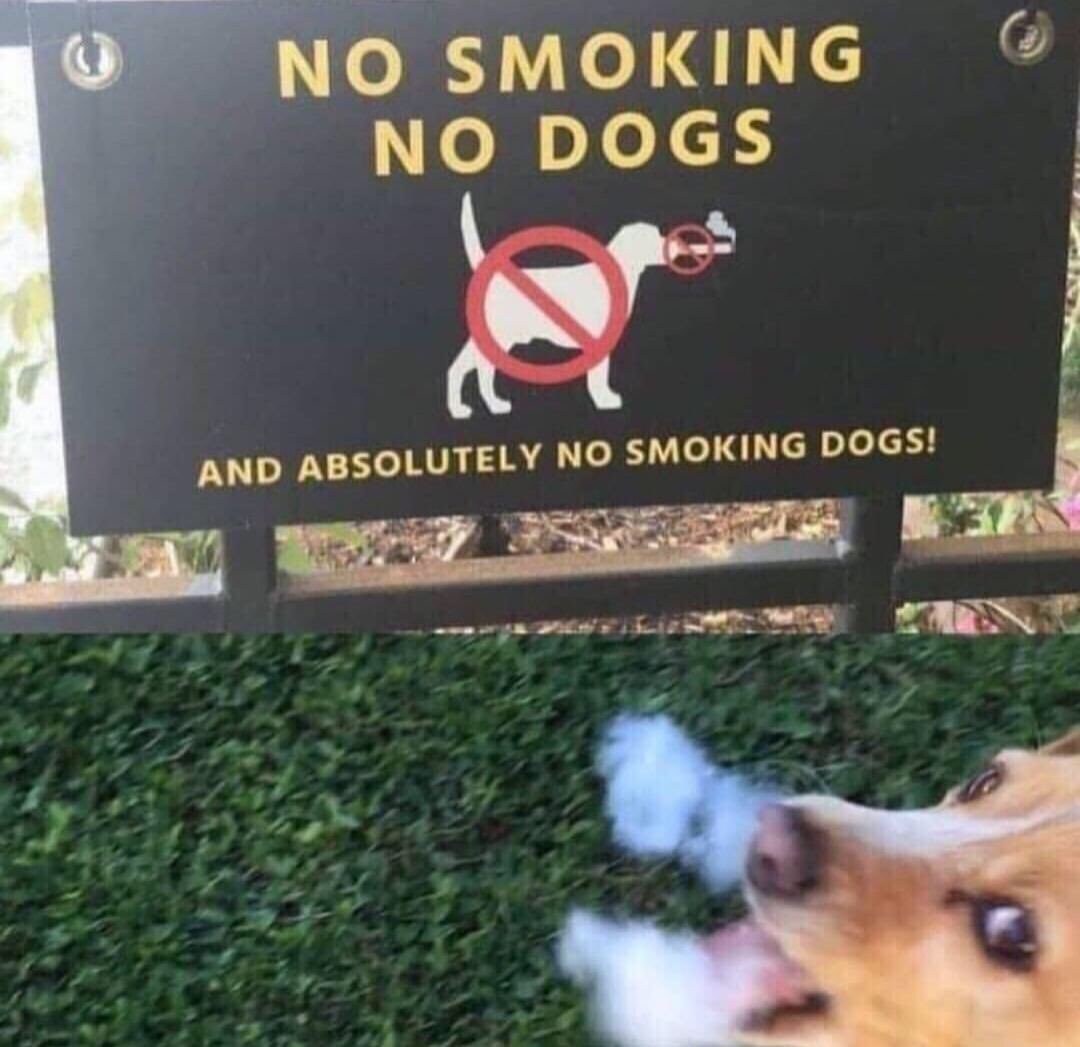 no smoking bitch - meme
