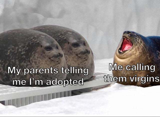 My parents are virgins - meme