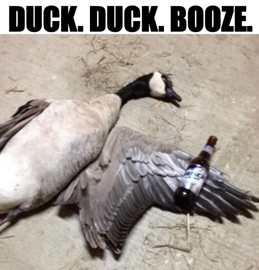 he's an early bird when it comes to booze :) - meme