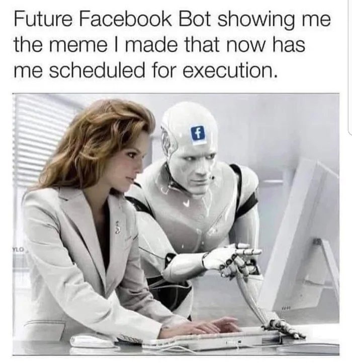 The future - meme