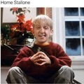 Home Stallone