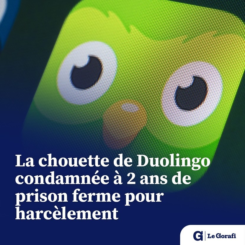 La chouette de Duolingo condamnée à 2 ans de prison ferme pour harcèlement⁠ - meme