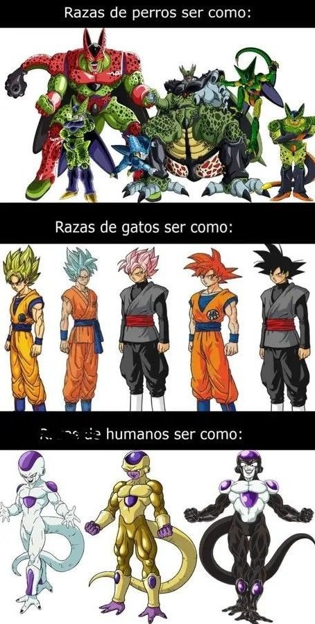 Waos - meme