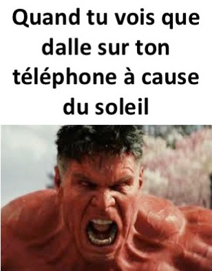 les trucs rageants - meme