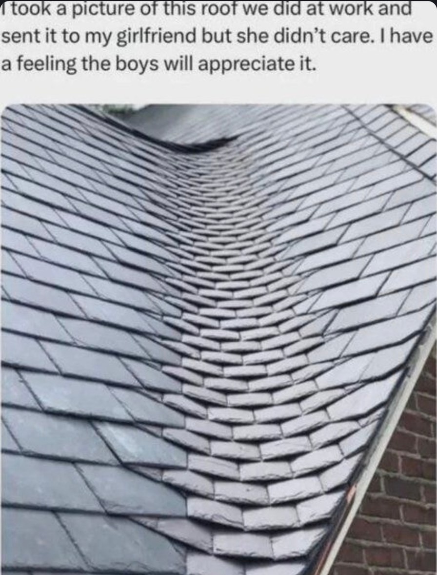 gf didn’t care but the boys are gonna lose it over this roof - meme