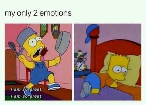My only two emotions - meme