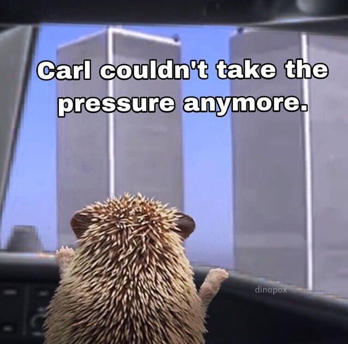 Carl caused 911 - meme