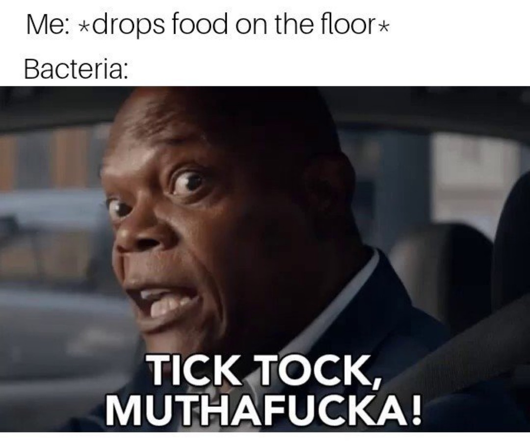 bacteria  - meme
