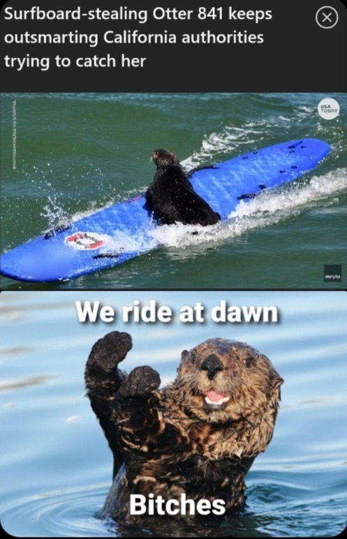 We ride at dawn - meme
