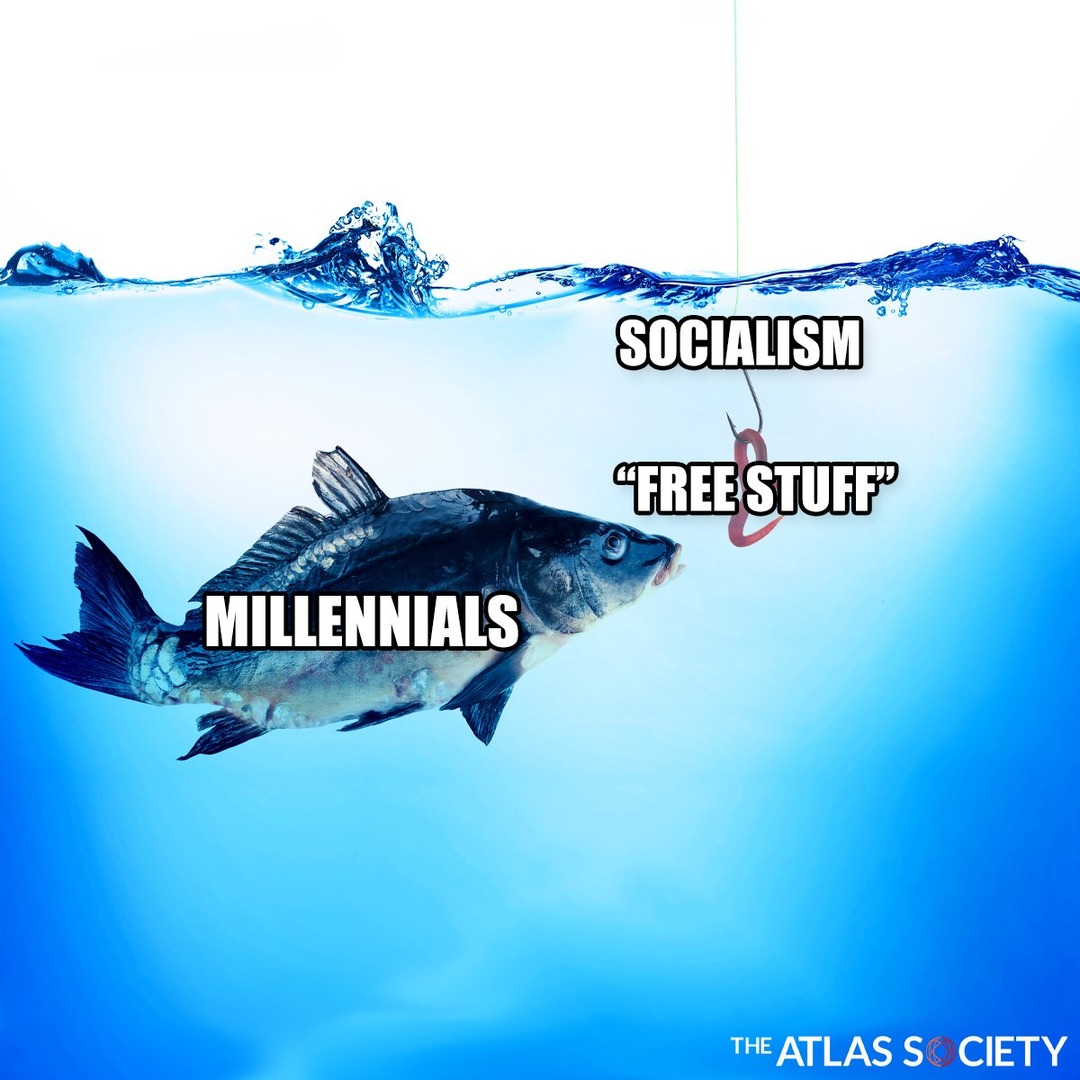 Millennials and Socialism - meme