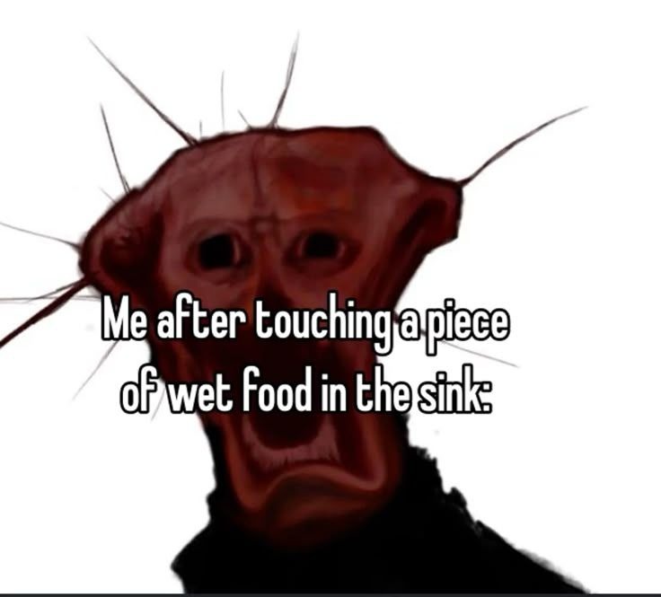 BROO XD - meme