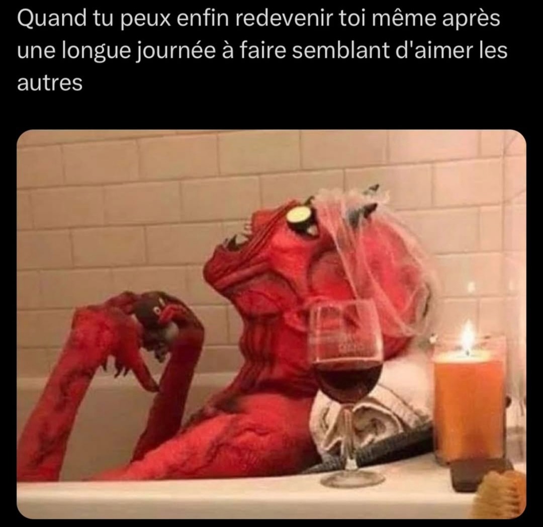 Fin de journée = mode gobelin activé - meme