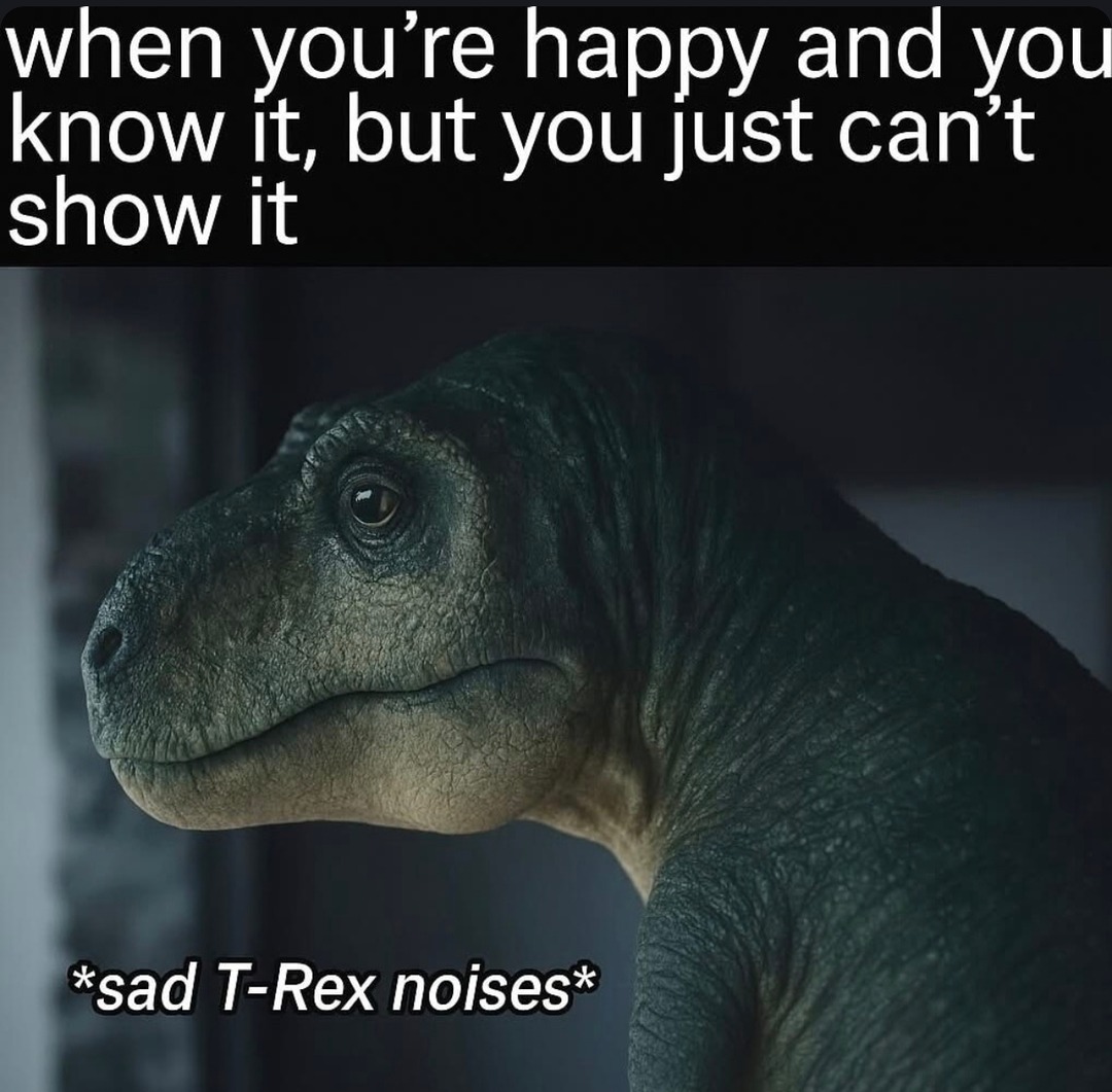 When you’re sad but gotta keep it lowkey like a T-Rex - meme