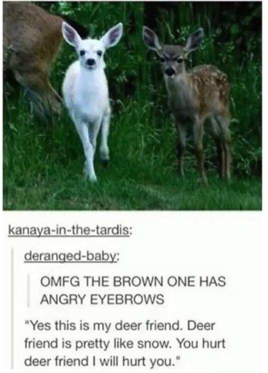 Deer - meme