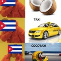 Coco no taxi no cocotaxi yes (: