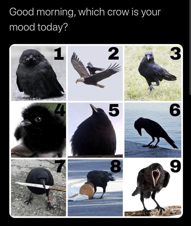 How do you feel today.  I'm a 2 today - meme