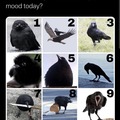 How do you feel today.  I'm a 2 today