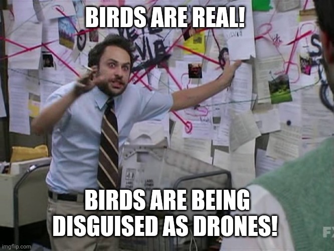 Birds are real - meme