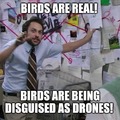 Birds are real