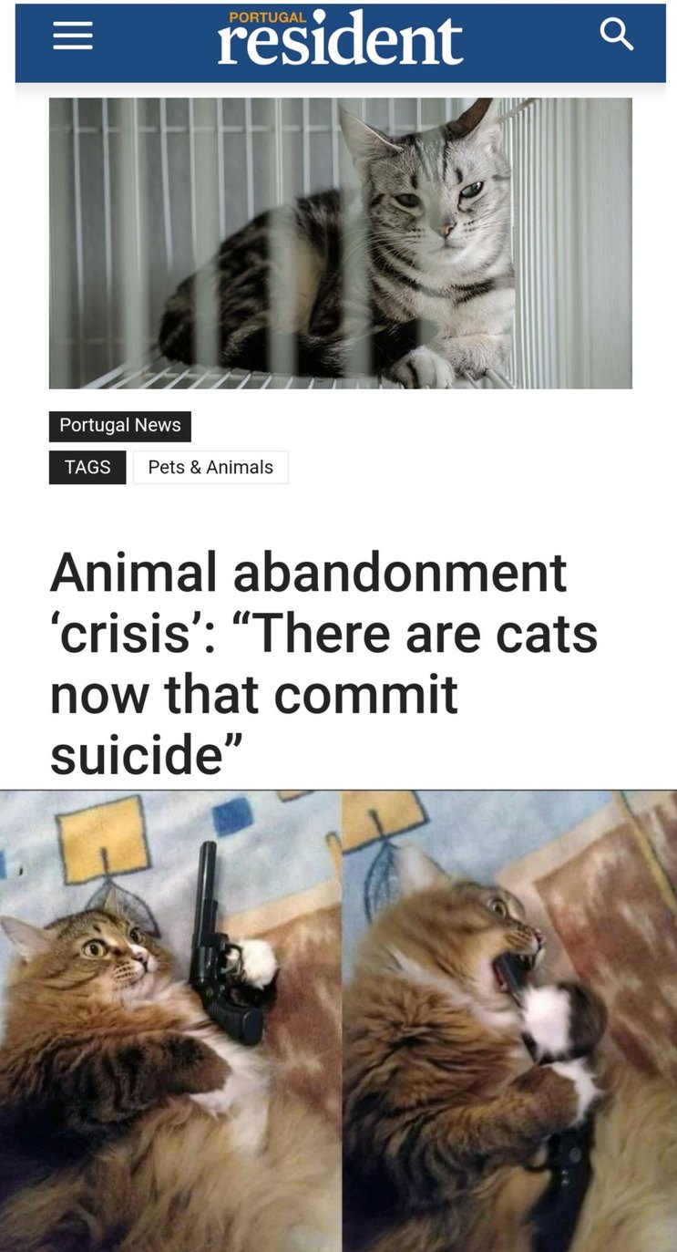 Mind Blown Cat Meme