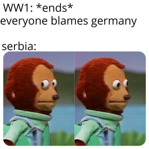 Technically, Austria and Serbia started world war 1, not Germany. - meme