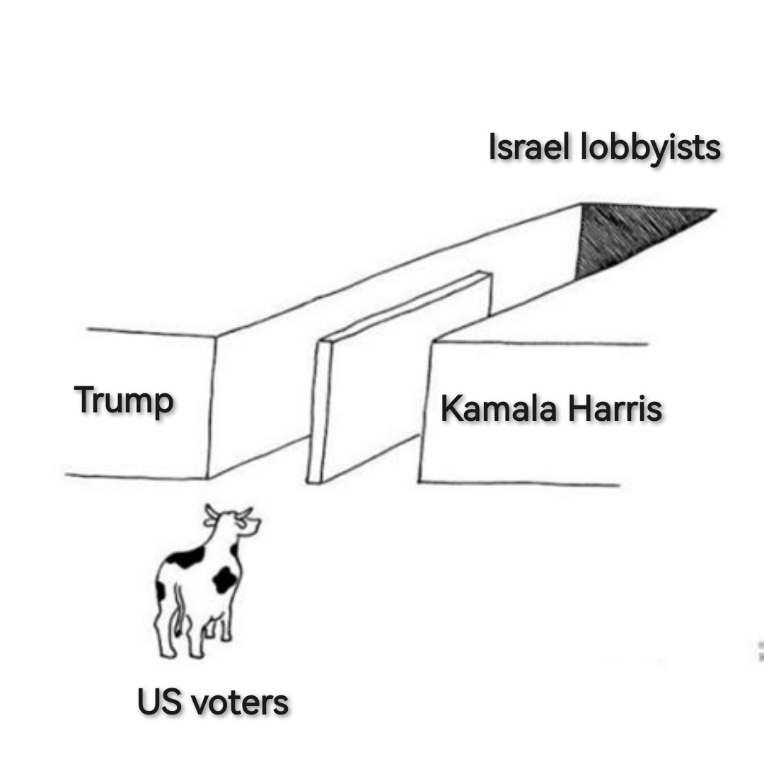 I'm spreading misinformation to ruin democracy - meme