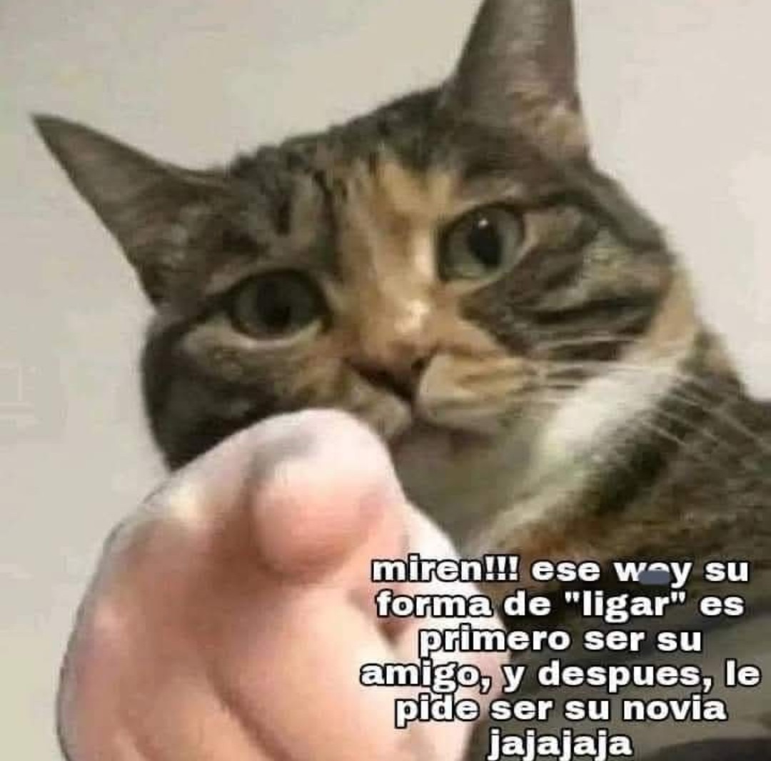 Qué opinan? Puede ser absurdo y razonable a la vez - meme