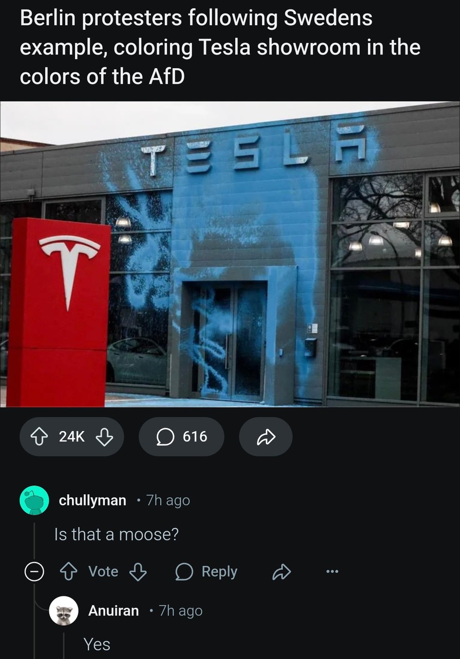 Germany and Sweden racing to troll Tesla in new colors - meme