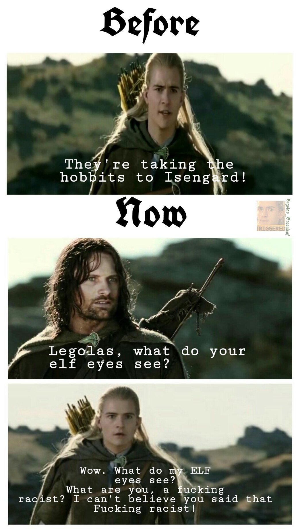 I can't believe Aragorn just sexually assaulted me - meme