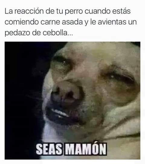 Seas Mamon Meme Subido Por Carloslopez17A1 Memedroid